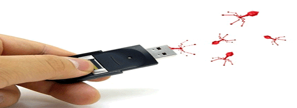 İçeriği Gizlenen Flash Bellek